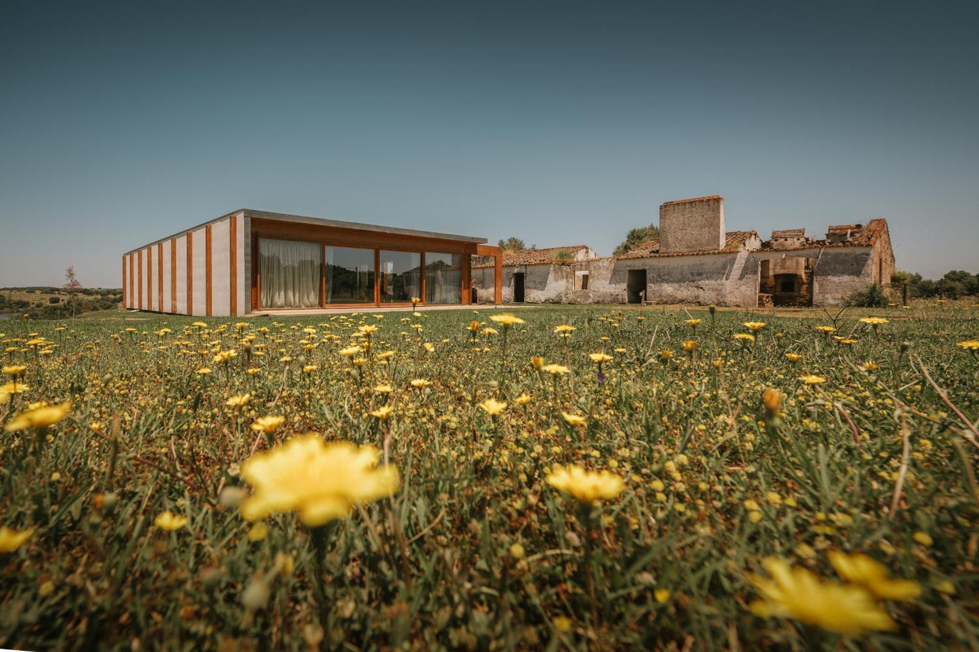 Herdade Da Cortesia Hotel Avis Exterior foto